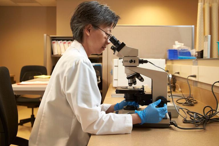 A lab technician looks through a microscope